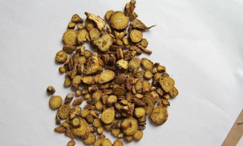 白花蛇舌草的药用功效与作用图片-白花蛇舌草的药用功效网白花蛇舌草的药用功效与作用知识网站,分享白花蛇舌草药用功效有哪些大全